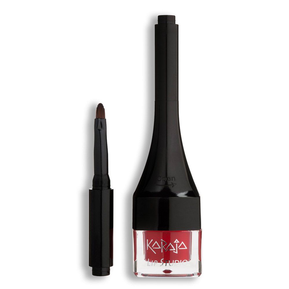 Lip Studio 11